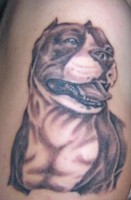 /album/animales-perros/a100-3011-jpg/