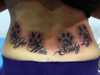 /album/animales-perros/letras-pisadas-perros-jpg/