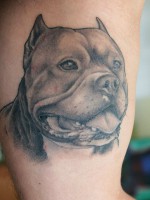 /album/animales-perros/lrap-0709-08-z-2525252b-2525252bphoto-bulldog-tattoo-jpg/